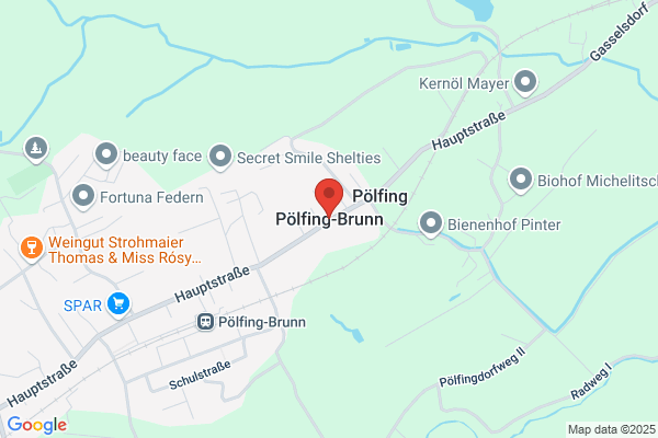 SPOe Poelfing-Brunn