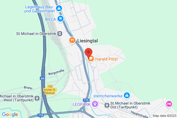 Elektro Wassner Gesellschaft m.b.H.