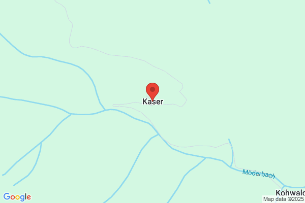 Johann Kaser