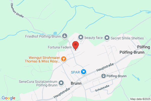 Fortuna Federn GmbH