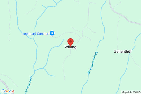 Franz Wilfing