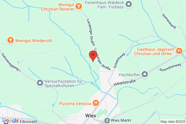 Maennergesangsverein Wies
