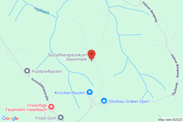 Steiermark Sozialtherapeutikum