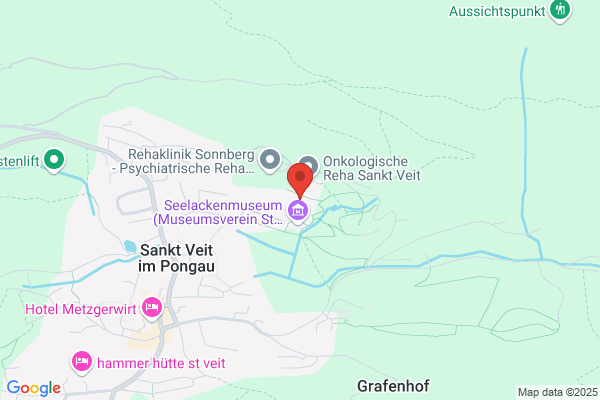 Landesnervenklinik Salzburg Sonderpflegest. Grafenhof