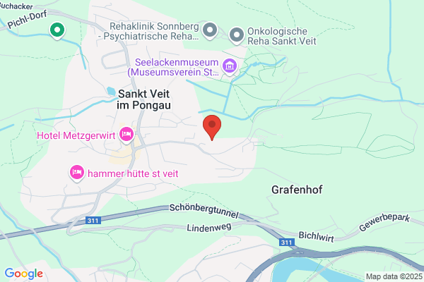 Noriker Reitergruppe St.Veit