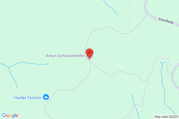 Anton Schuetzenhoefer