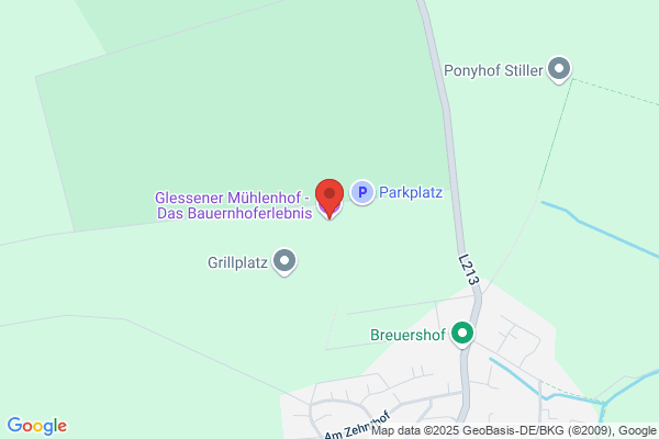 Webkom Hofmeister und Grilnberger OEG