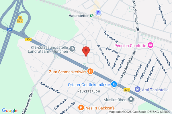 CMS Consulting Maschinen Service Bau Ges.mbH