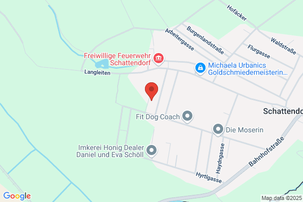 Tante Dea´s Hundekekse