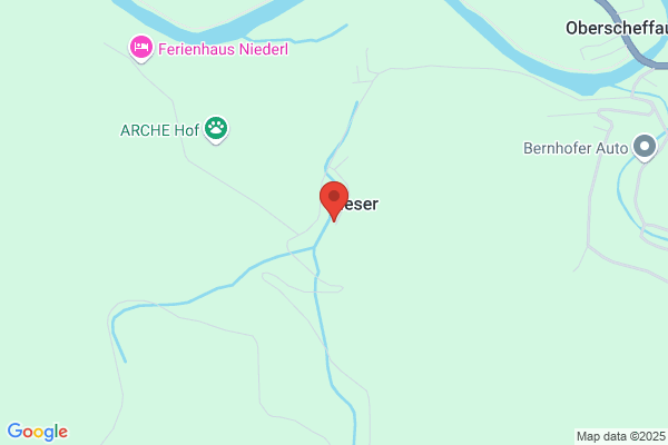 Scheffauer Holzwaren Gesellschaft m.b.H.