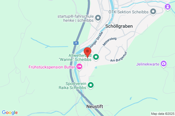 Schuster Ferdinand Dipl-TA Dr