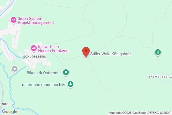 Friedwald Kainer