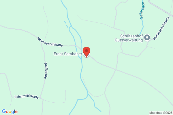 Ernst Samhaber