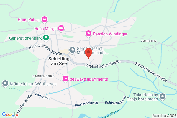 Franz Toepitscher