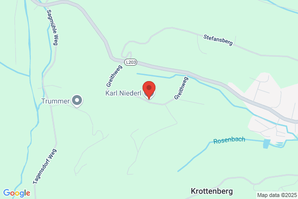 Karl Niederl