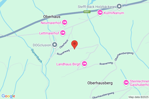 Kainachwaldung- Forstwirtschaftsges. mbH