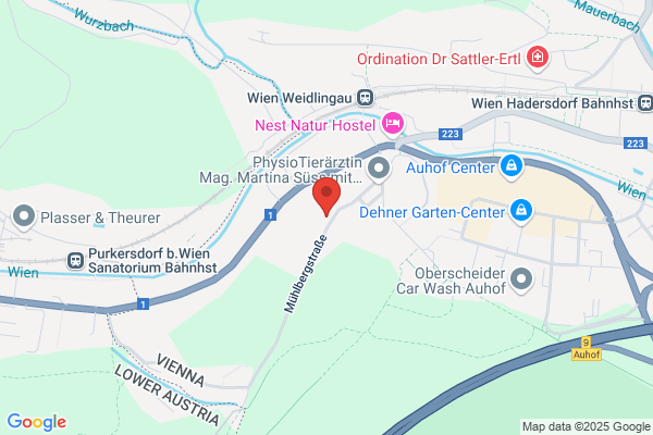 Treml Dr. Steuerberatungs KG