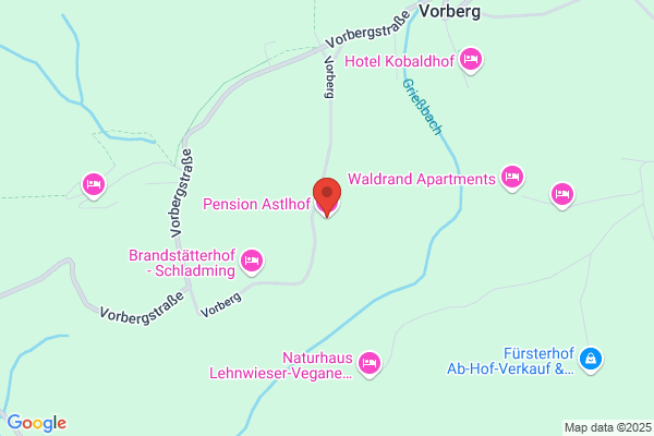 Dachstein Tauern-Balloon
