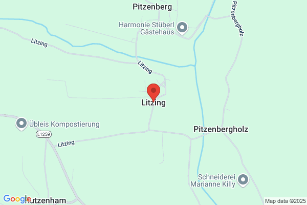 Witernig OEG