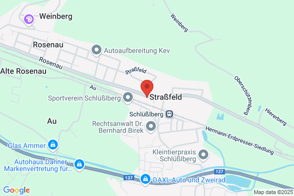 Gesellschaft fuer Familien- geschichte Dr. G. Fr. Spiegelfeld-Schneeburg KEG