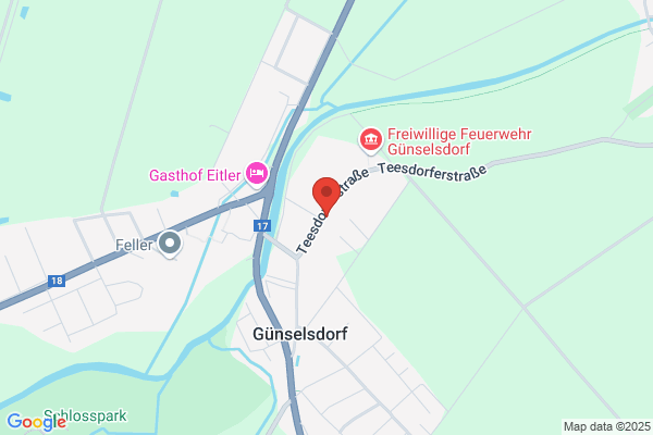 Hackgut Zöchling - Rodungen - Forstmulchen - Holzschlägerungen
