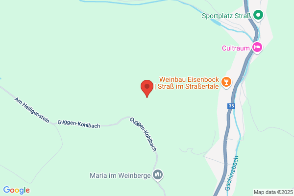 Heiligensteinerhof