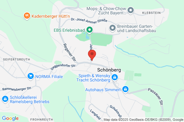 Reininger und Tiefenbacher OEG