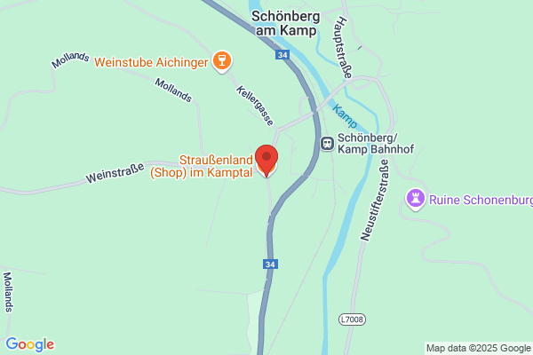 Straussenland Truthuehnerzucht Ing Rainer Gaertner