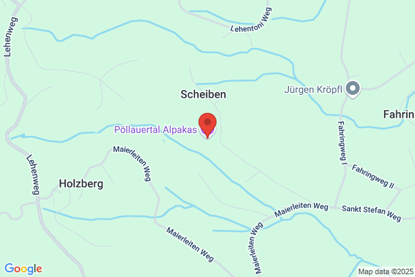 Pöllauertal Alpakas