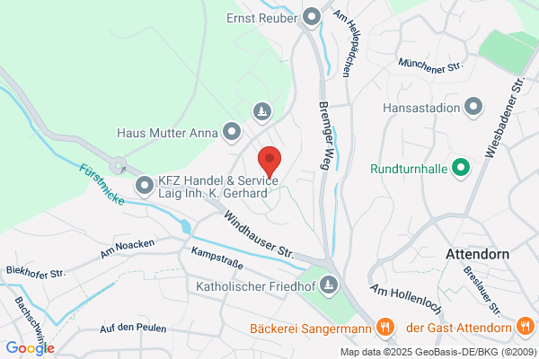 Maler und Anstreicher Dogancan