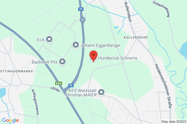 Jiu-Jitsu-Verein