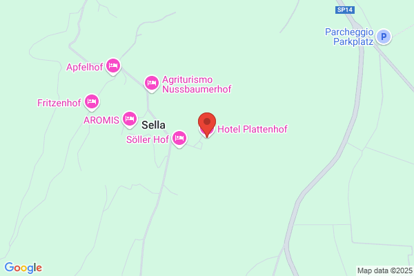 Hotel Plattenhof