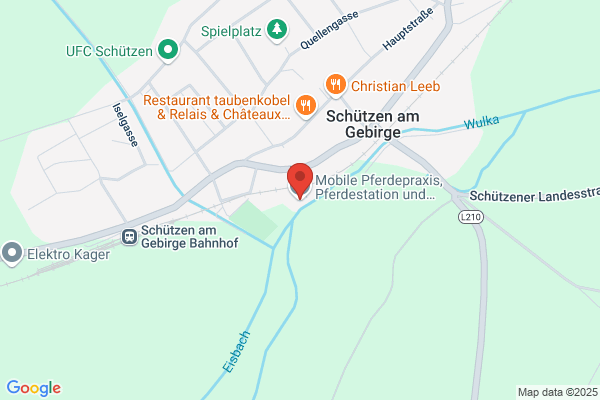 Mobile Pferdepraxis, Pferdestation und Kleintierpraxis Dr. Kaufmann Verena