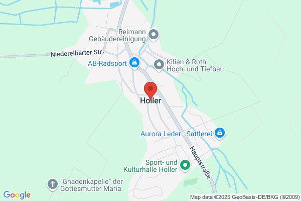 Alois Holler