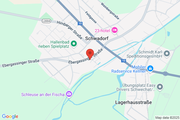 Die Erste Oesterr. Spar-Casse d. Stadt