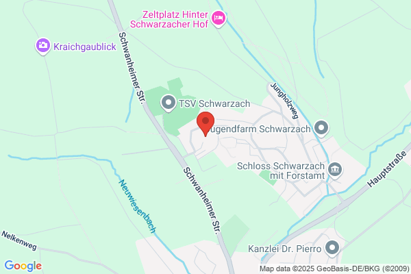 Allgemeine Sonderschule
