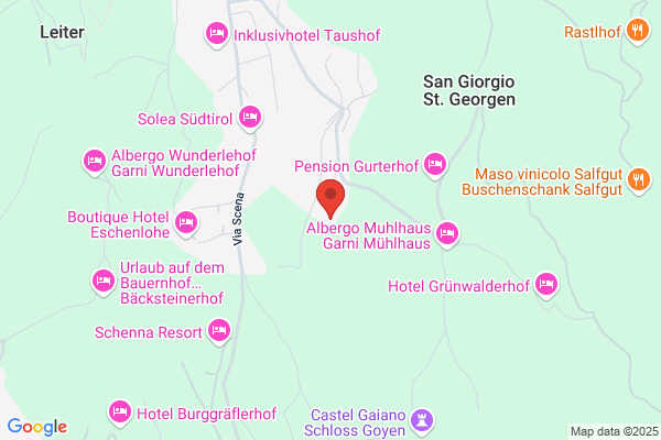 Gasthaus Burggraefler