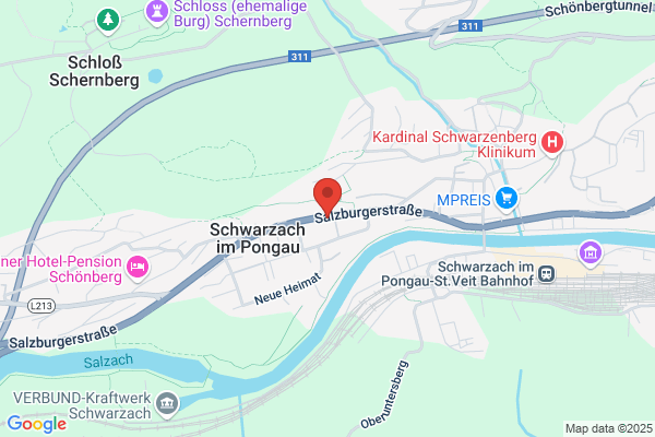 Steckholzer David