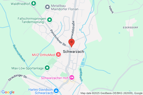Mayer Hans Hermann