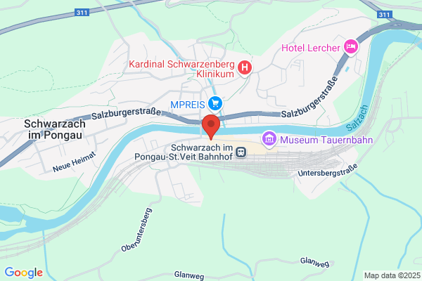 Expert Hölzl