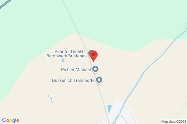 Pfister Pflaster