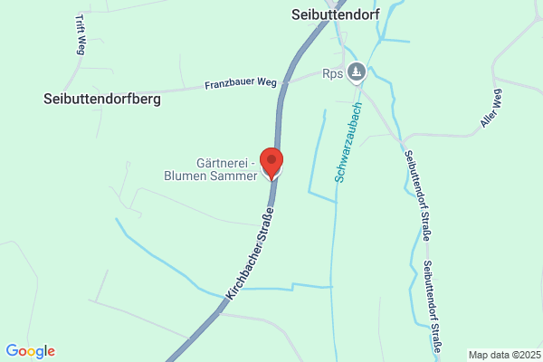 FlowerMax Tillandsien und Blumen en gros