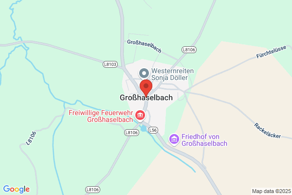 Franz Gari