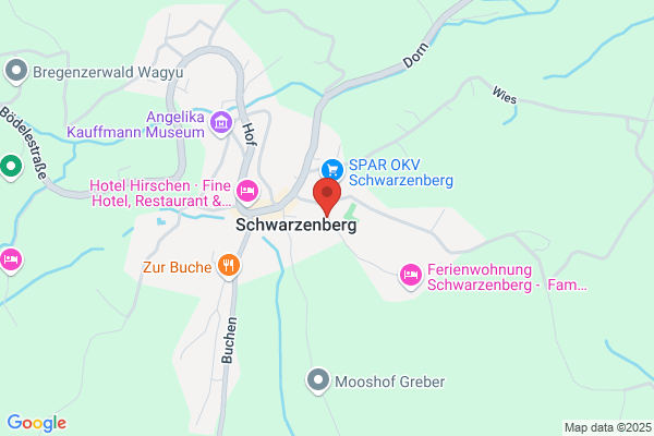 Vorarlberger Kraftwerke AG