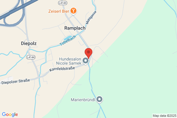 Christbaum - Bauer - Direktvermarktung von Christbaeumen