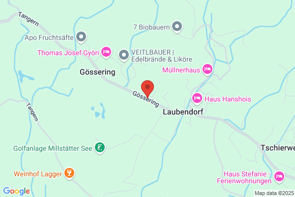 Hilde Goesseringer