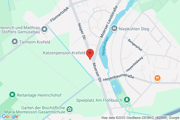 Scholz Consulting GmbH