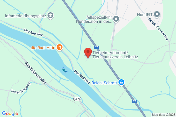 Tierschutzverein Leibnitz