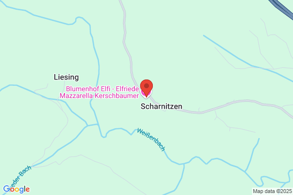 Walter Kerschbaumer