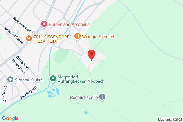 Jandrinitsch Roman RegR Dipl-TA Dr
